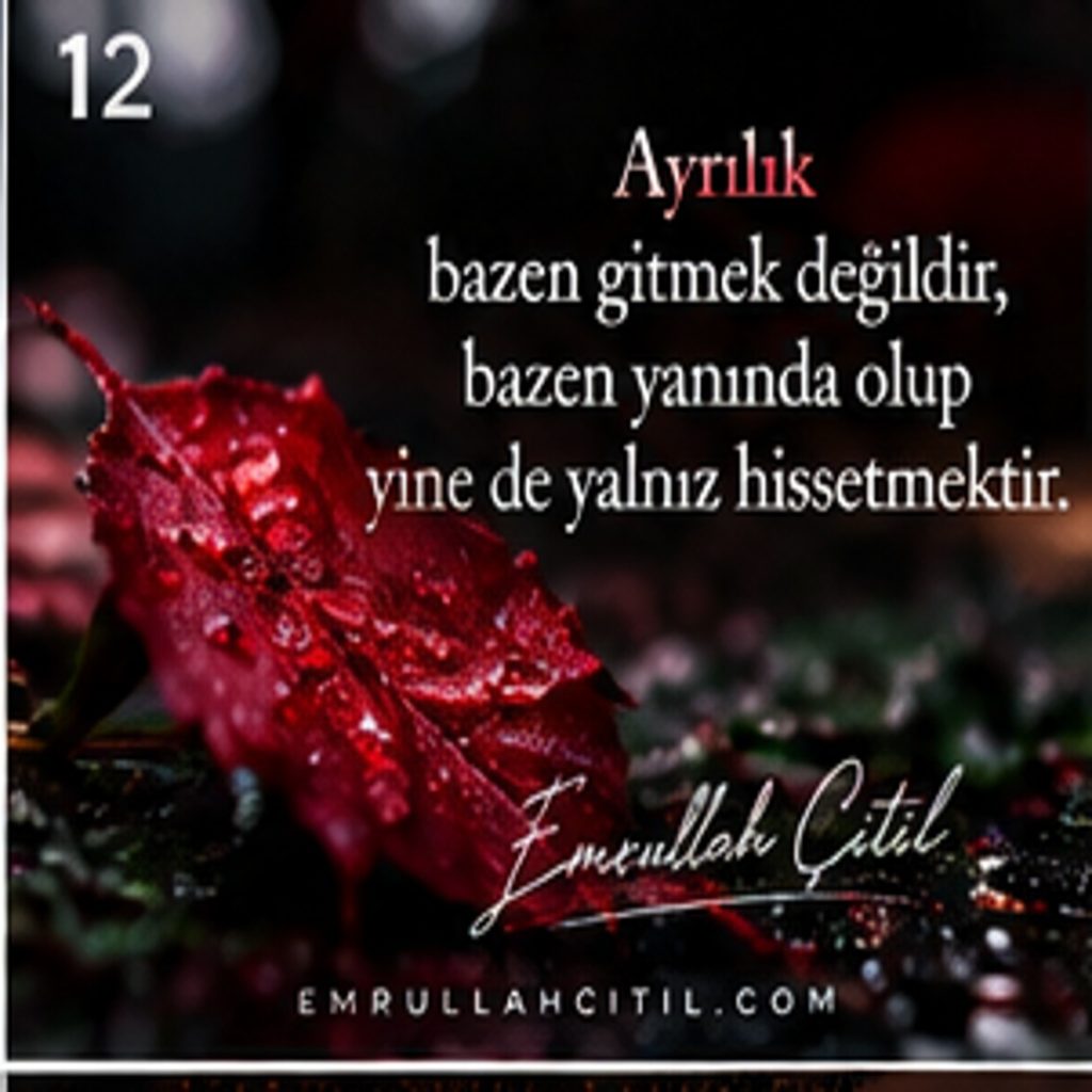 Emrullah Çitil imzalı özgün söz görseli 12