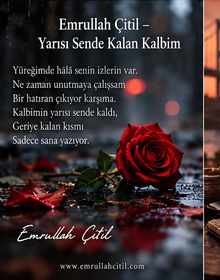 Yağmur damlaları arasında kırmızı bir gül ve düşmüş yapraklar